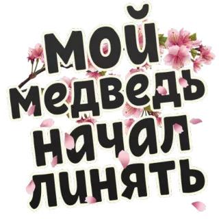 🐻 83e9957c Мой медведь начал линять ours, animal, fleurs, texte, russe telegram sticker