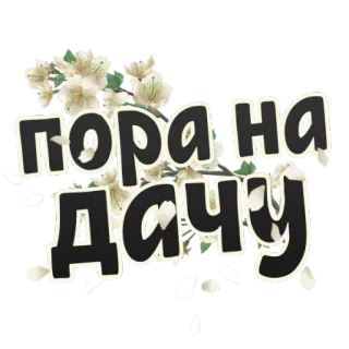 🏡 9815aed1 ПОРА НА ДАЧУ fleurs, russe, texte, Poranadachu, datcha, temps telegram sticker