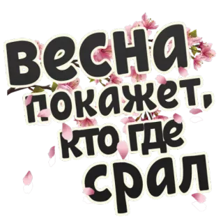 Весна @StikeryTG telegram stickers