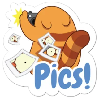 🗻 1d1d111a Pics! fotografia, macchina fotografica, cartone animato, arancione, animale telegram sticker