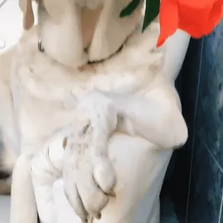 🤔 2b3b57c0 telegram sticker