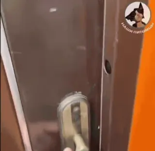 ❤️ 9d8a0763 НАШИ ПИТОМЦЫ telegram sticker