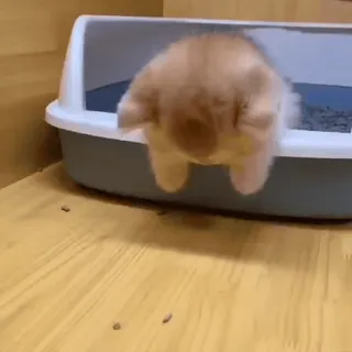 ☯ Kakashi ☯s video kang pack whatsapp stickers