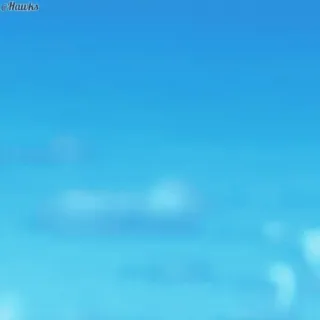 😆 82061599 telegram sticker