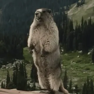 🎥 Msg Warning Error Emos ChaT telegram stickers