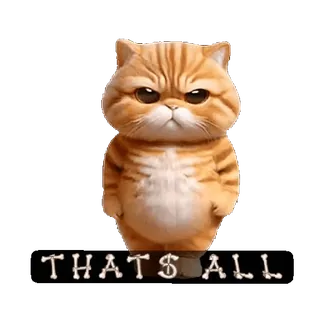 👍 ab91f54c THATS ALL kucing, imut, hewan, peliharaan, lucu, meme, sengit telegram sticker