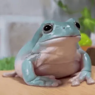 🐸 e73fd6d0 katak, binatang, amfibi, imut, satwa liar, alam telegram sticker