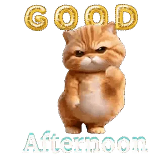 👍 f1074f45 GOOD Afternoon kucing, siang, salam, baik, imut, binatang telegram sticker
