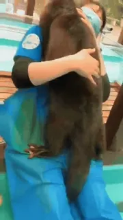 🦦 d95e1e4d telegram sticker