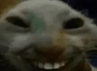 😂 c9936a85 telegram sticker