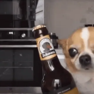 🐾 5b1aa712 Schwarzer собака, пиво, животное, чихуахуа, питомец telegram sticker