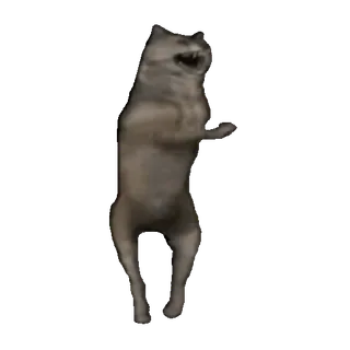 🤩 148ae283 dança, animal, lobo, meme, engraçado whatsapp sticker