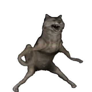 🤩 35ab19cc lobo, animal, meme, engraçado, criatura whatsapp sticker