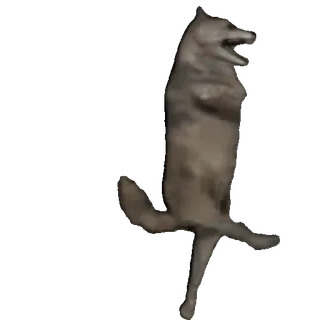 🤩 7738a016 lobo, dançando, engraçado, animal, meme whatsapp sticker