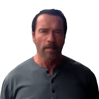 🤩 89510ec7 Arnold Schwarzenegger ator, celebridade, filme, retrato whatsapp sticker