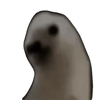 🤩 901b29a7 animal, foca, engraçado, meme, desfocado whatsapp sticker