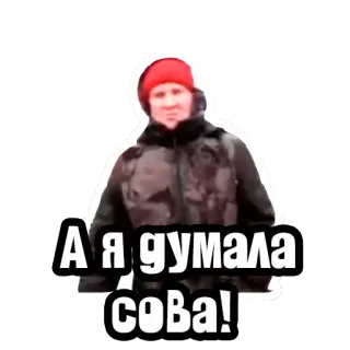 😧 2f235486 А я думала сова! whatsapp sticker