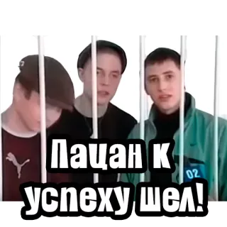 Видео мемы telegram stickers