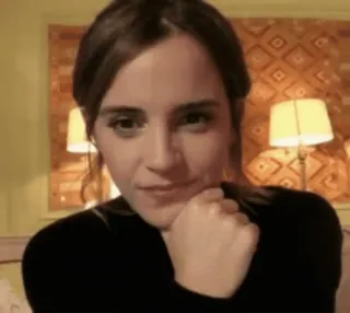 🤪 84c074c4 Emma Watson actrice, célébrité, portrait, femme, personne telegram sticker