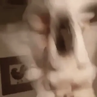 🥴 46767141 whatsapp sticker