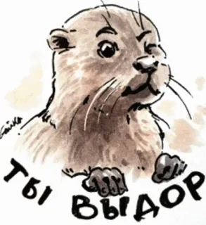 🦦 387dd636 ТЫ ВЫДОР 수달, 동물, 귀여운, 만화, 수채화, 러시아어, 텍스트 telegram sticker