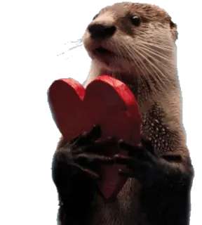 ❤️ 5eddec2e 수달, 하트, 동물, 사랑, 귀여운, 발렌타인데이 telegram sticker