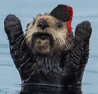 🇺🇦 b287bfd6 수달, 동물, 해달, 모자, 콧수염, 물 telegram sticker