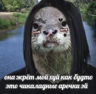 👨 d934c04b она жрёт мой хуй как будто это чикаладные аречки эй 수달, 밈, 불쾌한, 러시아 telegram sticker