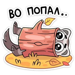 🌴 f20bab36 ВО ПОПАЛ.. Kartun, Binatang, Lucu, Terjebak, Batang kayu, Rakun telegram sticker