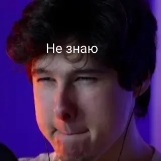 windy31 whatsapp stickers