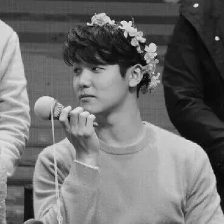 🎼 f6b95ede Mann, Blumen, Mikrofon, Pullover whatsapp sticker