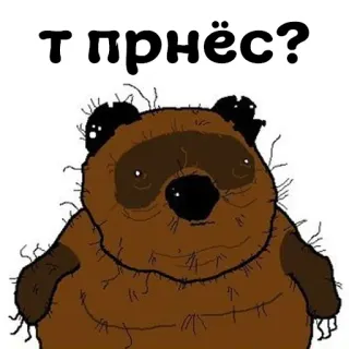 ⁉️ 5e70308f т пpnëс? cartoon, bear, funny, russian whatsapp sticker