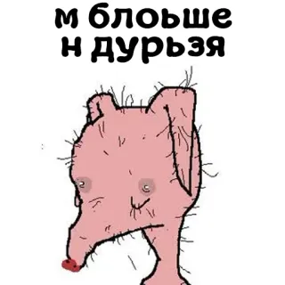 🙅‍♂️ 72b39305 м блохье 
н дурья meme, animal, offensive, text whatsapp sticker