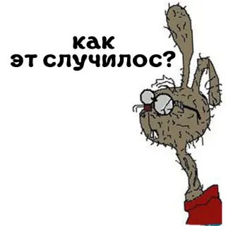 ⁉️ a7f0a8d1 как
эт случилось? rabbit, glasses, question, confused, russian whatsapp sticker