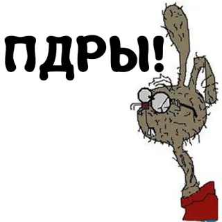 🏳️‍🌈 aad0cdf8 ПДРЫ! cartoon, offensive, insult, rabbit, gesture, russian, text whatsapp sticker