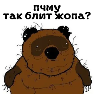 🍑 c12b8438 пчму так блит жопа? bear, russian, cartoon, animal whatsapp sticker