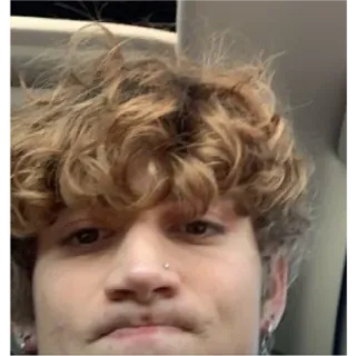 🤔 86ecf7bd telegram sticker