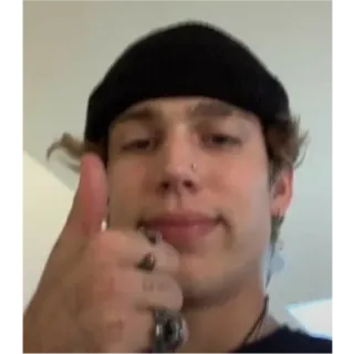 👍 a7a8203b 人物, 男性, ポートレート, ビーニー, 屋内, いいね telegram sticker