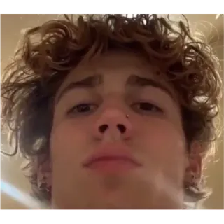 🤨 a7e7fdd0 telegram sticker