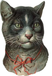 😏 150907d9 猫, 宠物, 动物, 丝带, 复古, 贴纸 telegram sticker