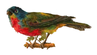 vintage postcard telegram stickers