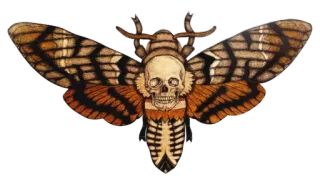 💀 4861644a 飞蛾, 骷髅, 昆虫, 鬼脸天蛾, 万圣节, 令人毛骨悚然的 telegram sticker