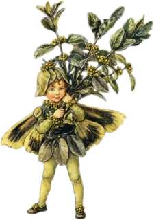 🌱 644bca34 嬉皮士, 仙女, 复古, 植物, 自然, 叶子 telegram sticker