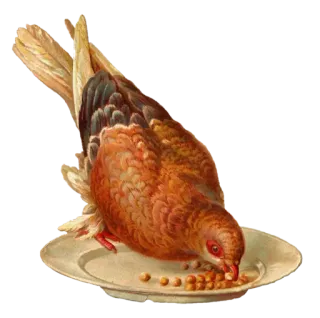 🕊 c4989dd0 鸟, 鸽子, 盘子, 食物, 动物, 复古, 鸽子 telegram sticker