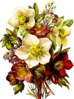 🌺 2922ab42 ดอกไม้, ช่อดอกไม้, ลายดอกไม้, วินเทจ telegram sticker