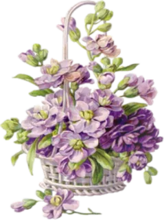 🌺 38a55321 ดอกไม้, ตะกร้า, สีม่วง, การจัดดอกไม้, วินเทจ telegram sticker