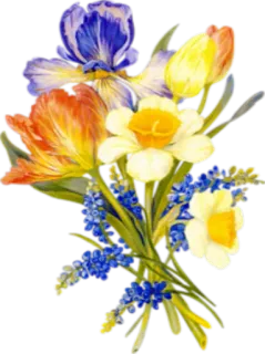 🌺 44b81aa8 ดอกไม้, ช่อดอกไม้, ทิวลิป, ดอกแดฟโฟดิล, ไอริส, ฤดูใบไม้ผลิ telegram sticker