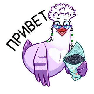 👋 0f94de15 ПРИВЕТ chim bồ câu, lời chào, chim, hoạt hình, kính râm, tiếng Nga telegram sticker