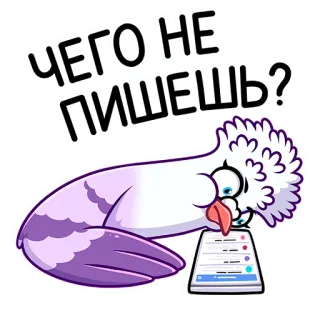 ❓ 6dde1da0 ЧЕГО НЕ ПИШЕШЬ? bồ câu, viết, chim, tin nhắn, buồn, dễ thương telegram sticker