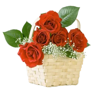 🌹 baa219f7 roses, flowers, basket, red, bouquet, floral telegram sticker